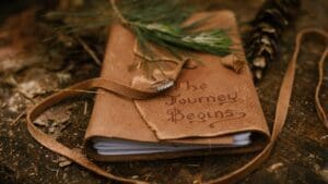 A book with the words " the journey begins ".