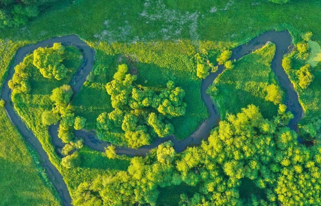 Aerial view of winding river through greenery.
